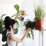 Etagère suspendue pour plantes d'intérieur