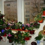 Étagère à fleurs en forme de colline