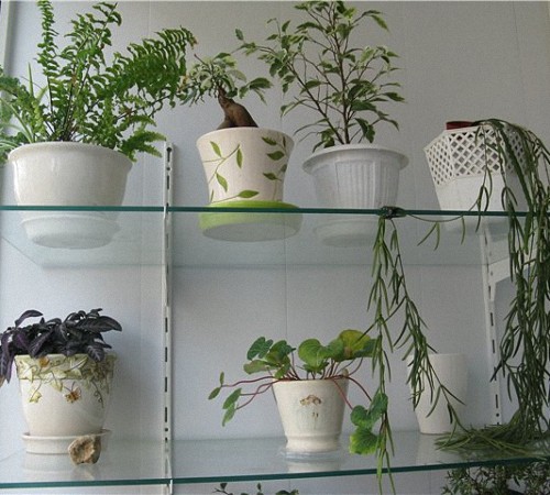 Étagères avec supports