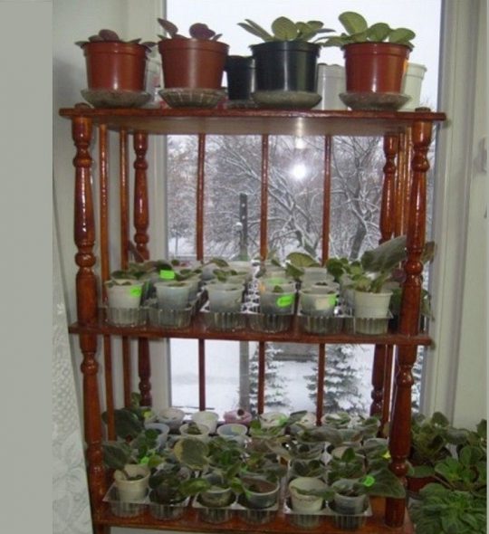 Étagère en bois