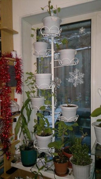 Entretoise avec étagères pour plantes