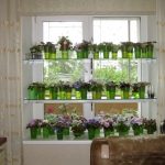 Étagères à fleurs en verre