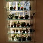 Casier à fleurs avec étagères en verre
