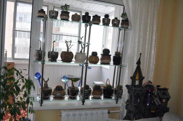 Pipe rack