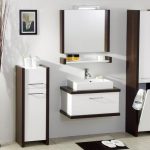 Cabinet avec un cas dans la salle de bain