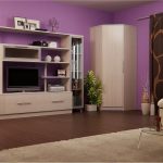 Petit placard compact dans le coin salon