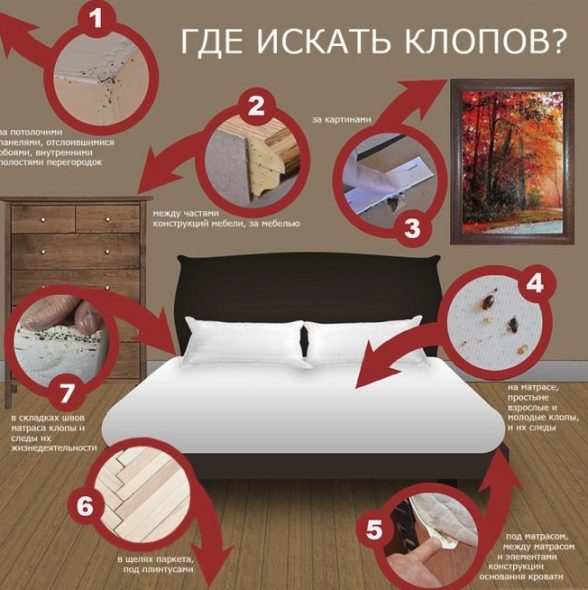 Source d'infection