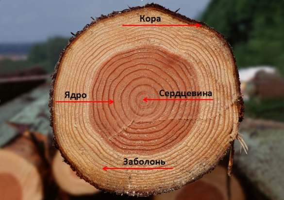 Дървени свойства