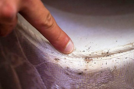 Signes de la présence d'un bug
