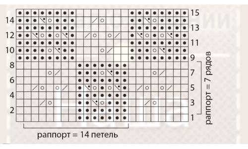 Plan du rapport