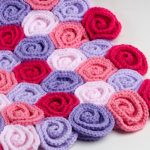 Roses délicates sur un beau plaid