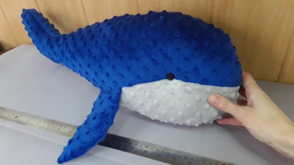 Baleine