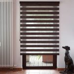 Statuetta di un cane nel salone interno