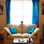 Rideaux bleus et oreillers décoratifs ton sur ton - un accent brillant à l'intérieur