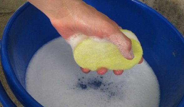 Solution de savon