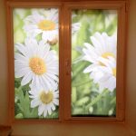 Grandes marguerites sur les stores