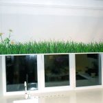 Herbe verte sur des volets roulants ouverts