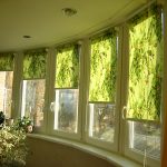 Volets verts sur la fenêtre de la loggia vitrée