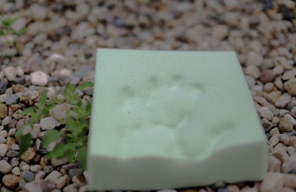 Mousse thermoélastique