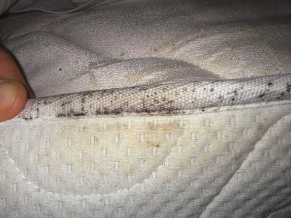 Moisissure sur le matelas