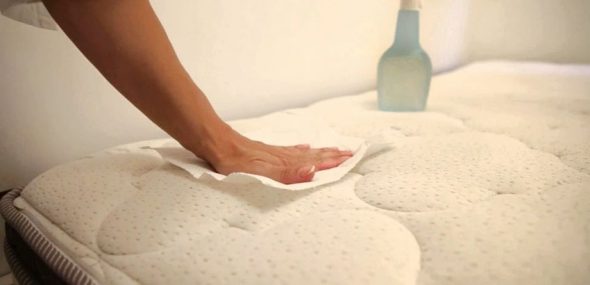 Utilisez des serviettes en papier pour les taches