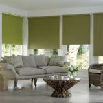 Green cassette blinds for the living room