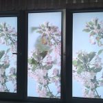 Unusual rolls with photo printing Apple color