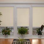 Transparent roller blinds
