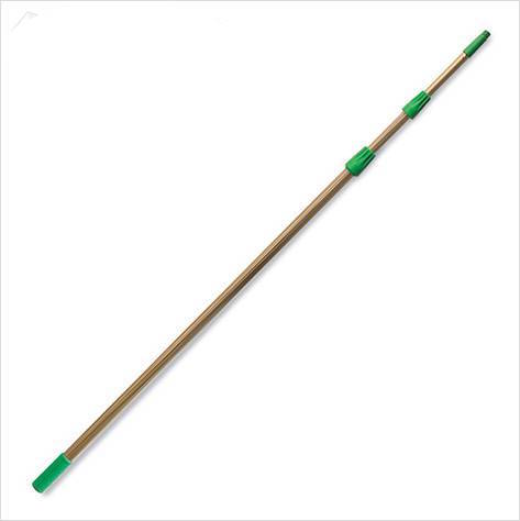 Asta telescopica