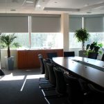 Plantes vivantes à l'intérieur du bureau