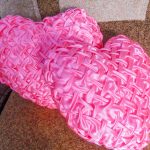 Beaux coussins rose satiné