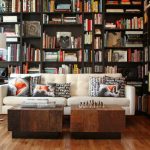 Coussins décoratifs inhabituels dans un style moderne
