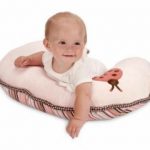 Coussin D'alimentation Coccinelle