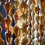 rideau de coquillage maison