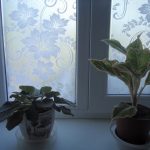 Fleurs fraîches sur un rebord de fenêtre en plastique