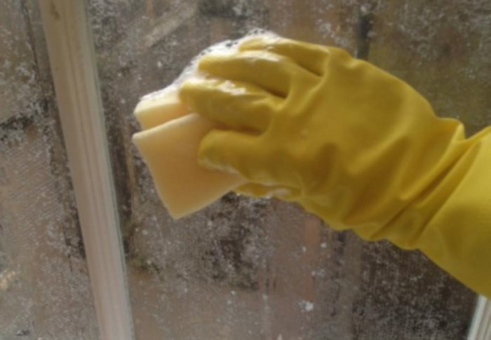 Lavage des vitres avec éponge à vaisselle