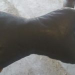 Sentetik bir kışlayıcı içinde yumuşak hakiki deriden yastık