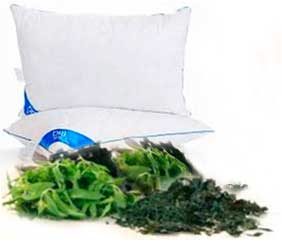 Coussins D'algues