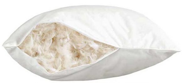 Bourre de plumes et de duvet