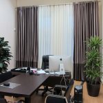 Curtains and tulle on the grommet for the office office