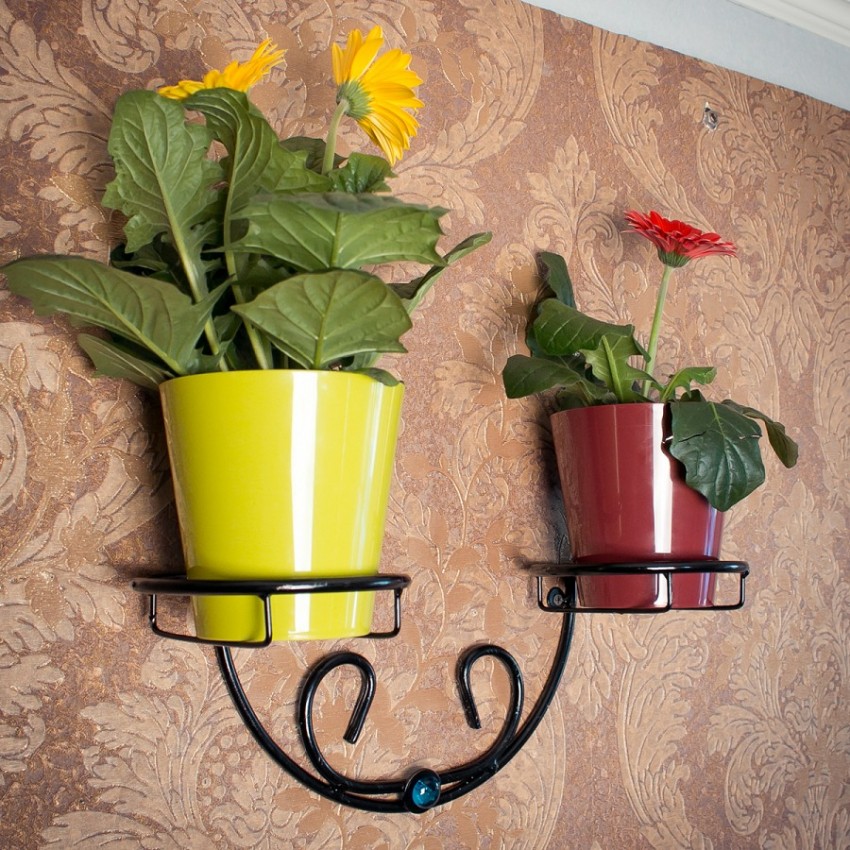 conception de photo de support de fleur