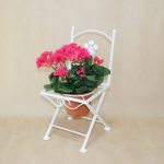 options de photo de stand de fleurs
