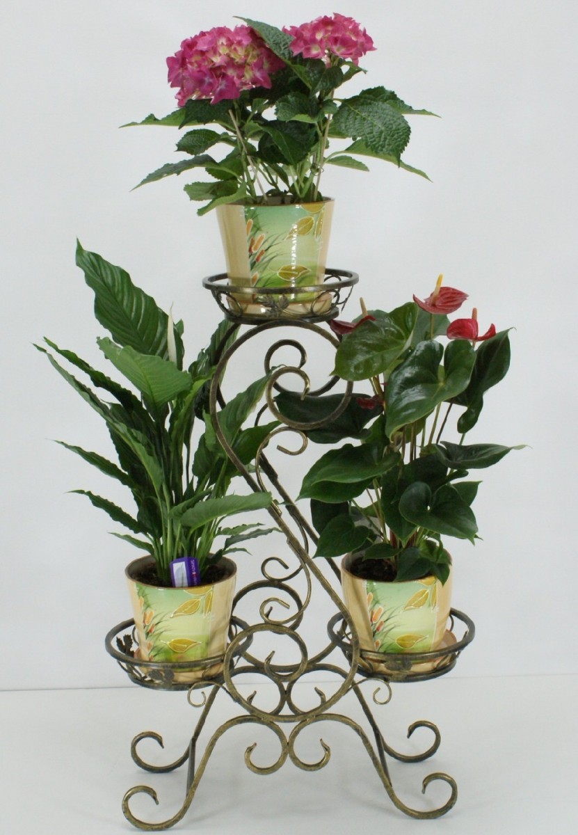 photo de stand de fleurs