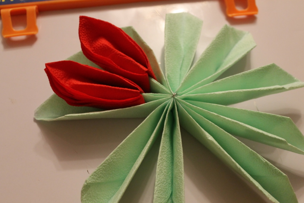 lotus de serviettes master class photo clear