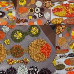 conception de photo de tapis de massage pour bébé
