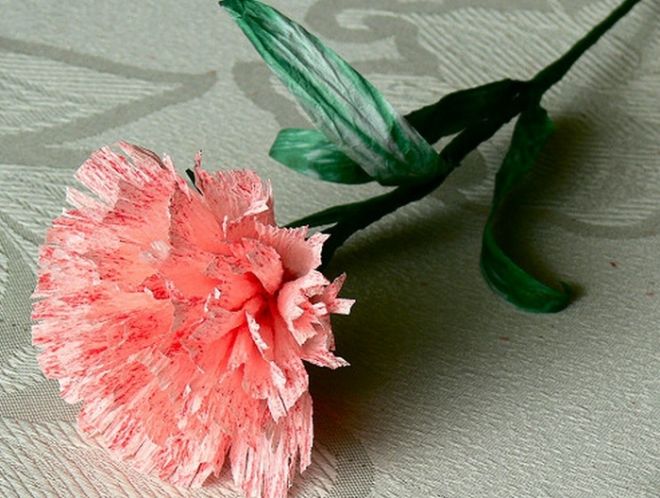 oeillets de photo de décor de serviettes