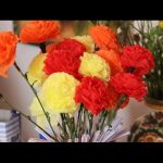 oeillets de serviettes photo options