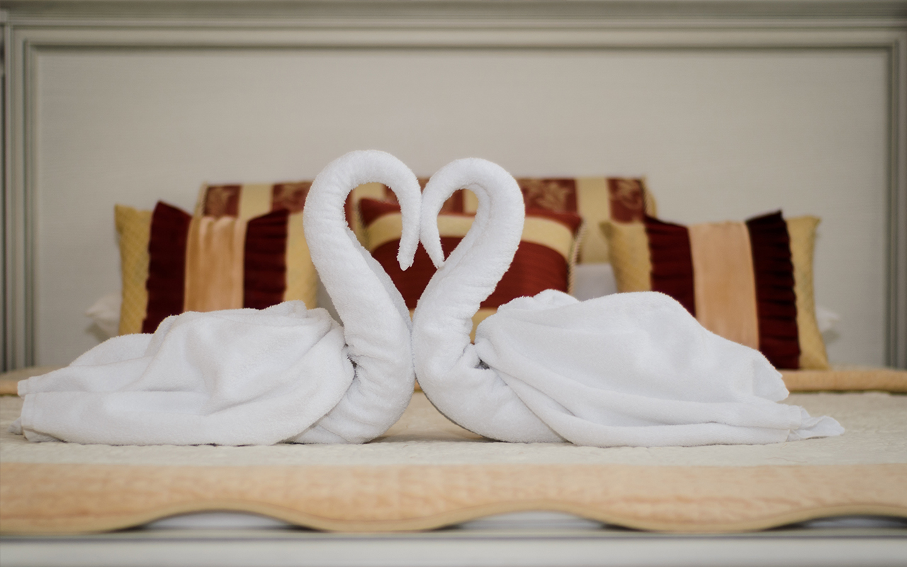 Serviette de cygne photo