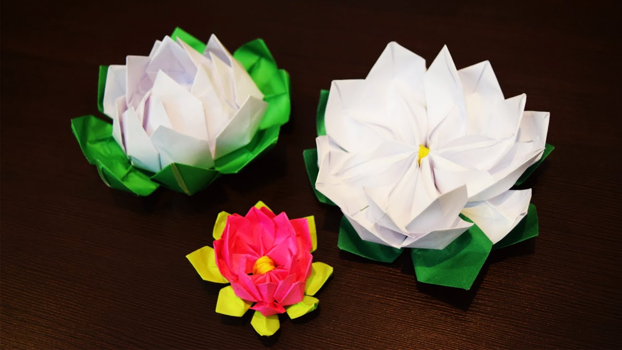 Lys Origami Nénuphar