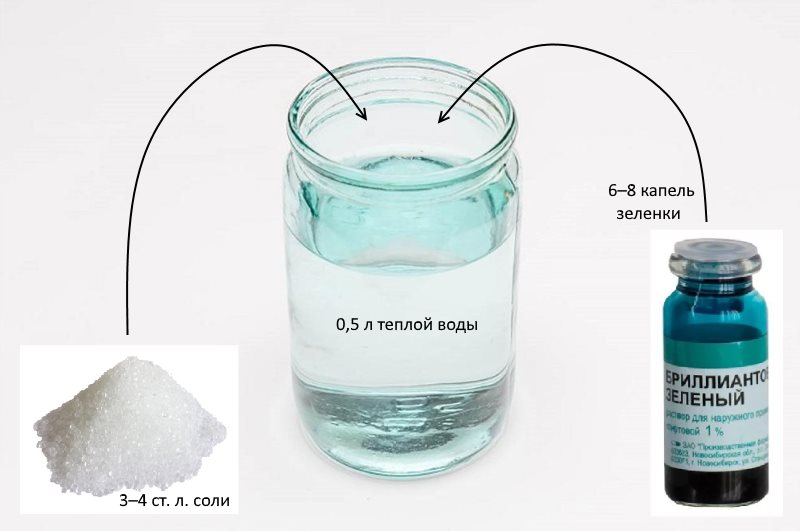 Scheme of breeding greens and salt in water for bleaching tulle